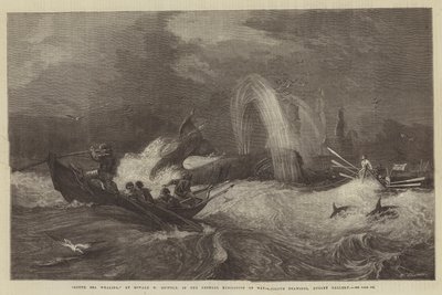 南海捕鯨、水色画一般展示、ダドリーギャラリー 作： Oswald Walters Brierly